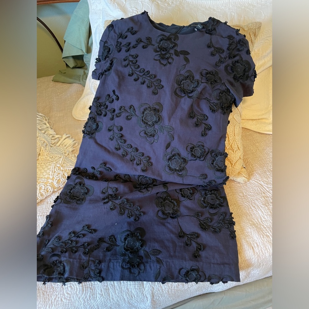 Banana republic blue embroidered dress